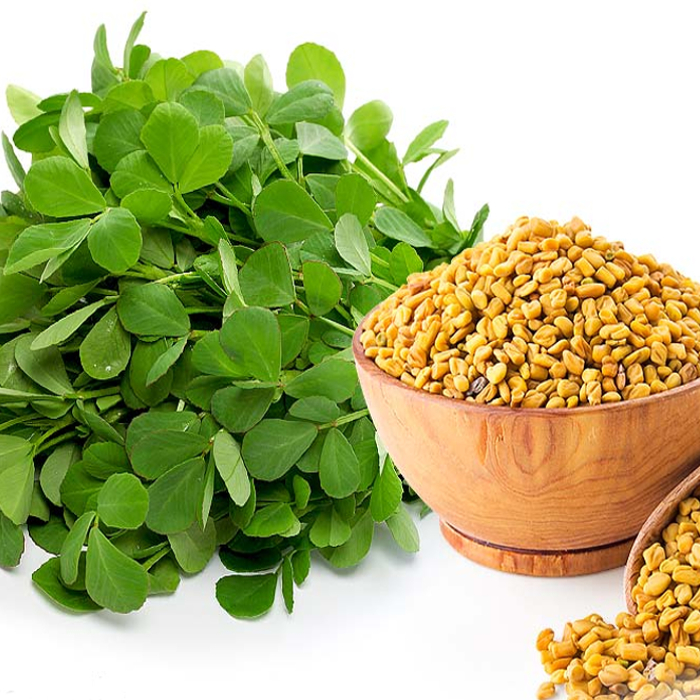 What Is Methi In English