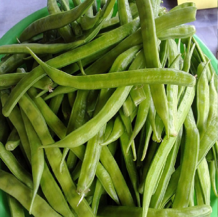 Cluster bean Traditional Seeds - GardenHunt