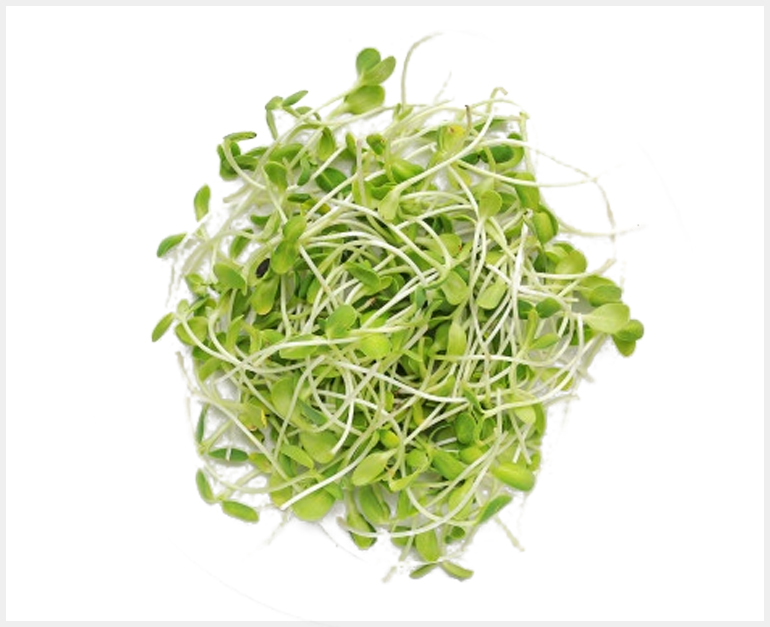 Amaranthus Green Microgreens - (Pack of 100 Grams) - GardenHunt